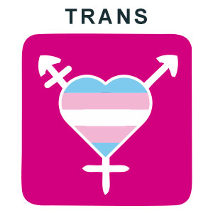 Transsexuais